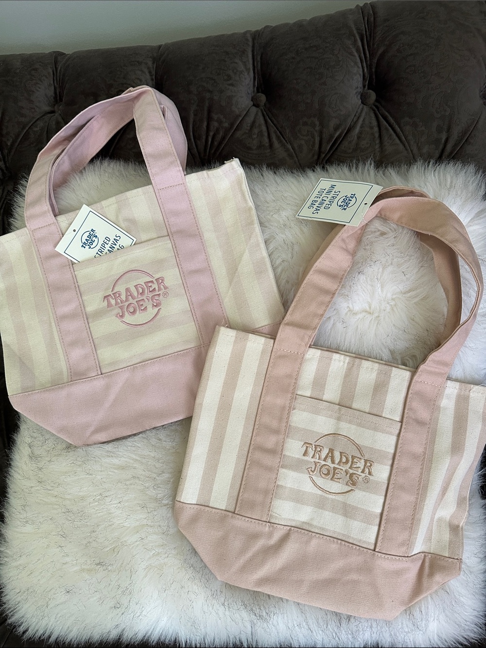 Trader Joe’s Striped Mini Totes Canvas Tote Bag